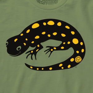 Spotty the Salamander