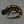 Spotty the Salamander